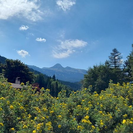 Duplex 59M2 - Proche Centre - Balcon Plein Sud Daire Corrençon-en-Vercors Dış mekan fotoğraf