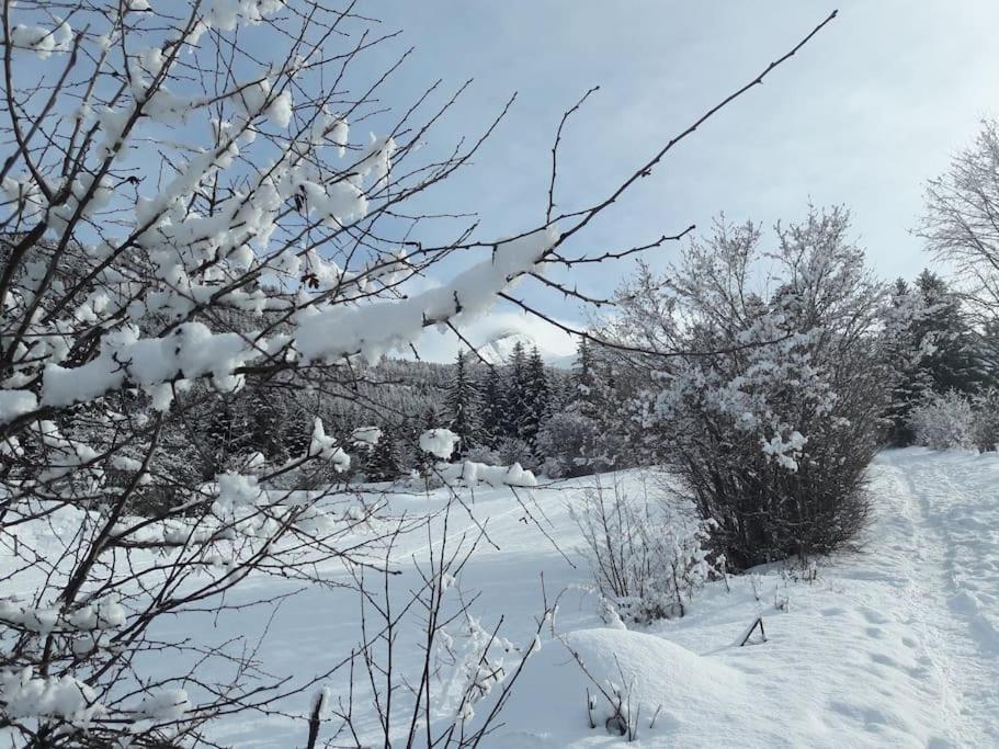 Duplex 59M2 - Proche Centre - Balcon Plein Sud Daire Corrençon-en-Vercors Dış mekan fotoğraf