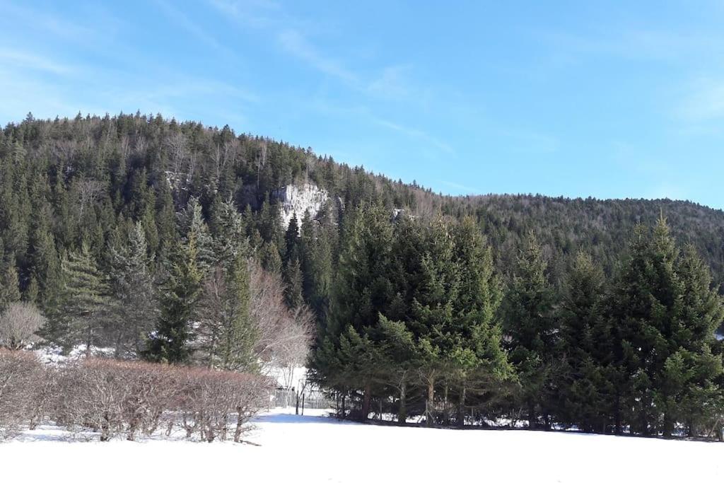 Duplex 59M2 - Proche Centre - Balcon Plein Sud Daire Corrençon-en-Vercors Dış mekan fotoğraf