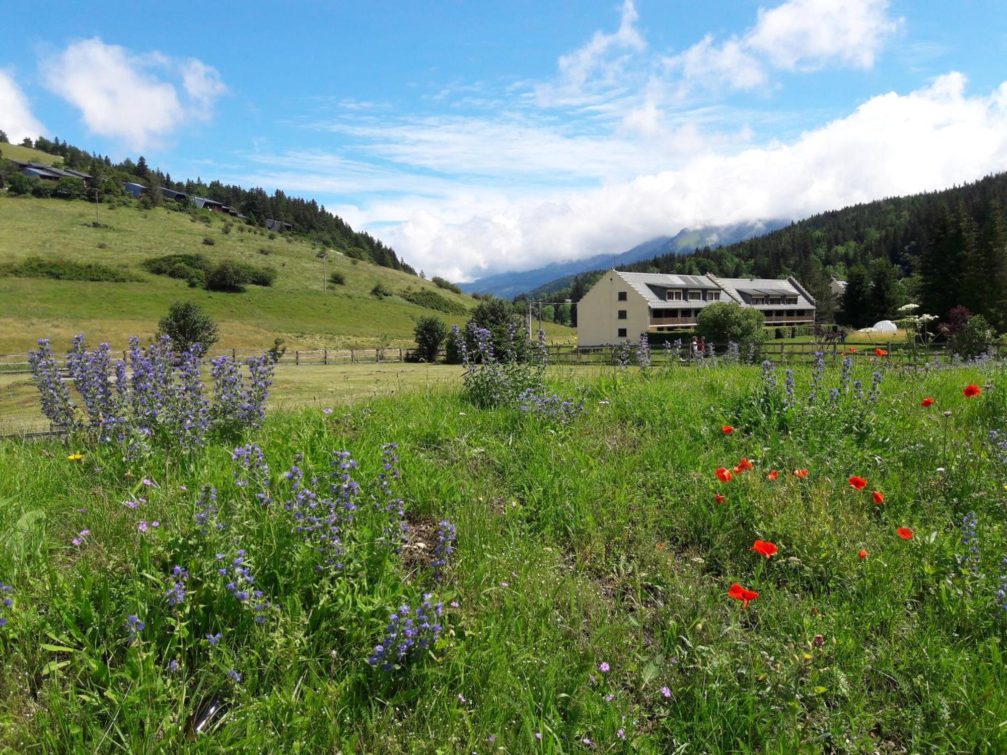 Duplex 59M2 - Proche Centre - Balcon Plein Sud Daire Corrençon-en-Vercors Dış mekan fotoğraf